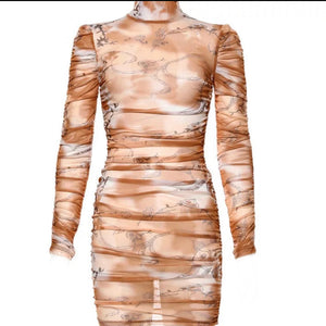 Nude Mesh Dress